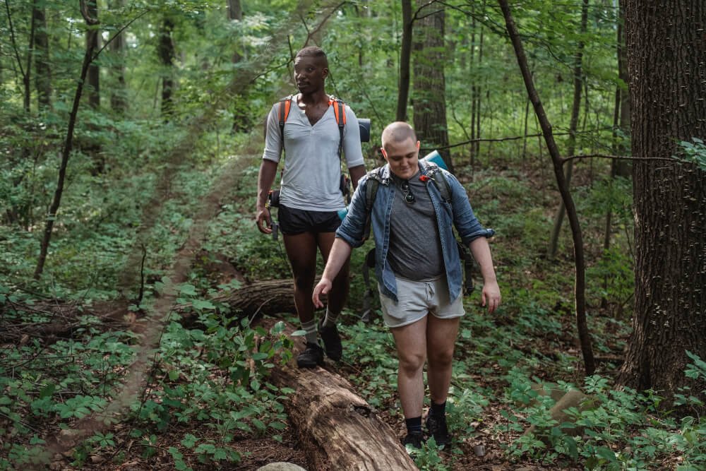 South India Bird Watching Tour