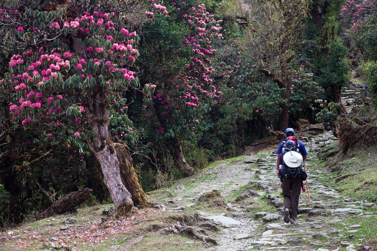 East India Wildlife Tour