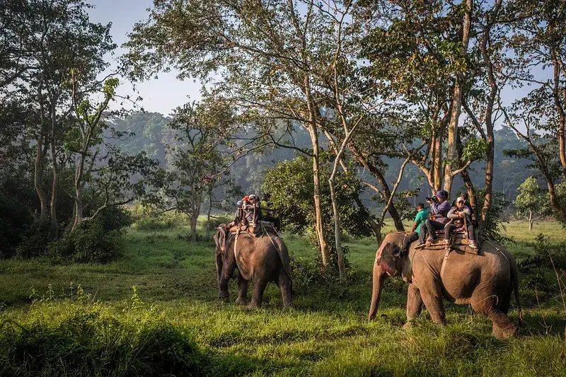 Uttarakhand Bird Watching Tour