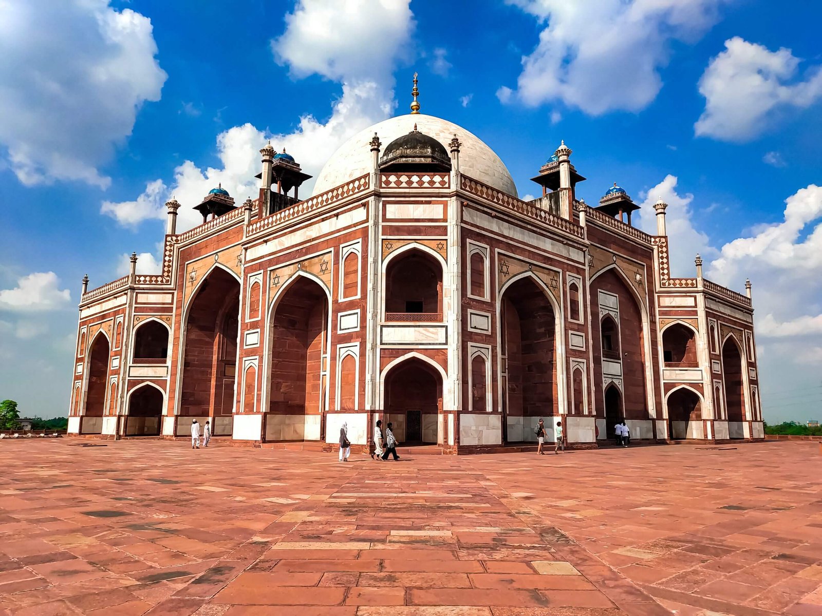 Dudhwa Wildlife Tour with Lucknow