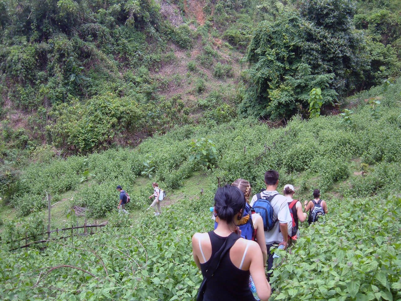 Pangot Kilbury Bird Watching Tour