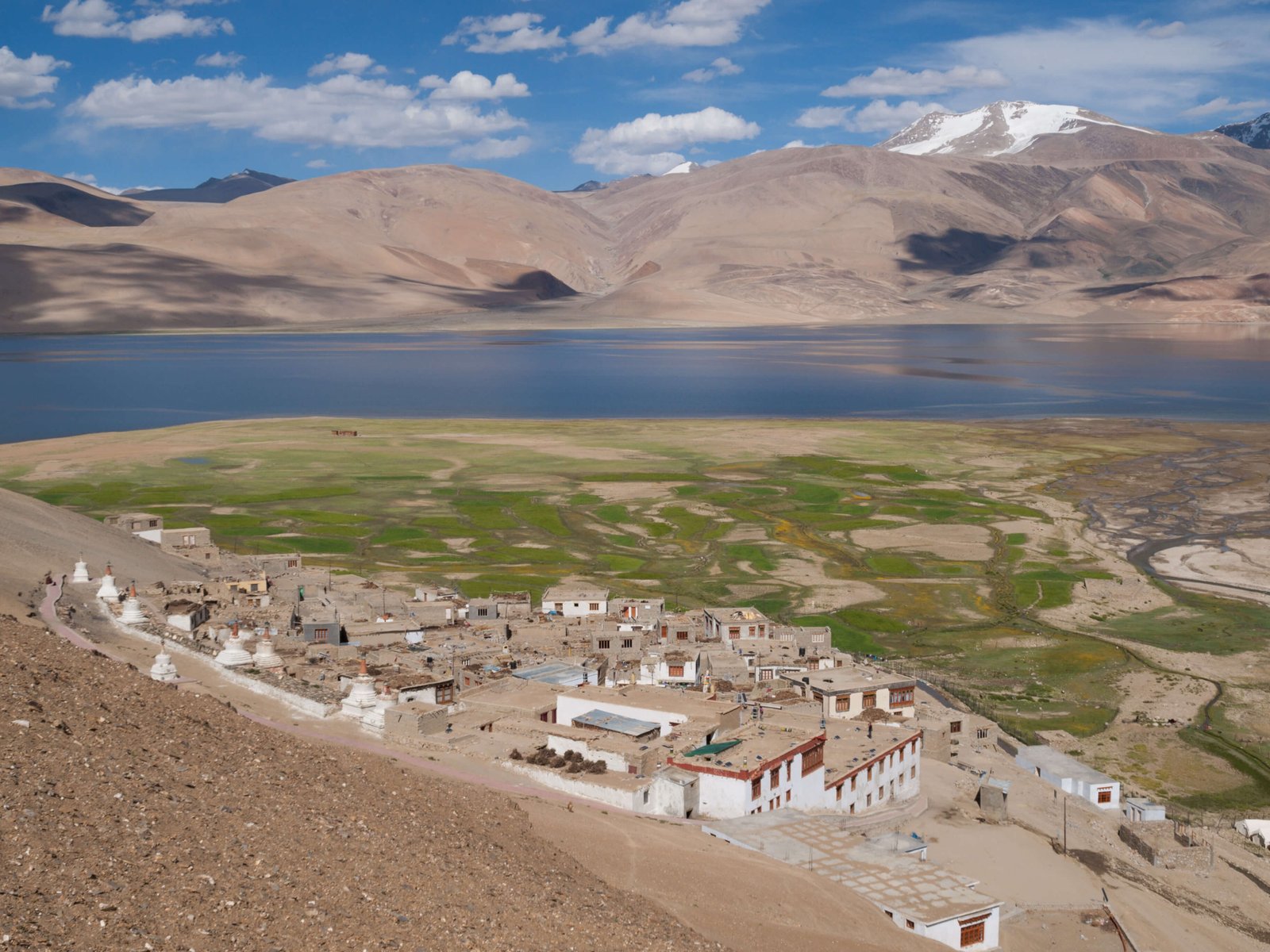 Leh Ladakh Bird Watching Tour