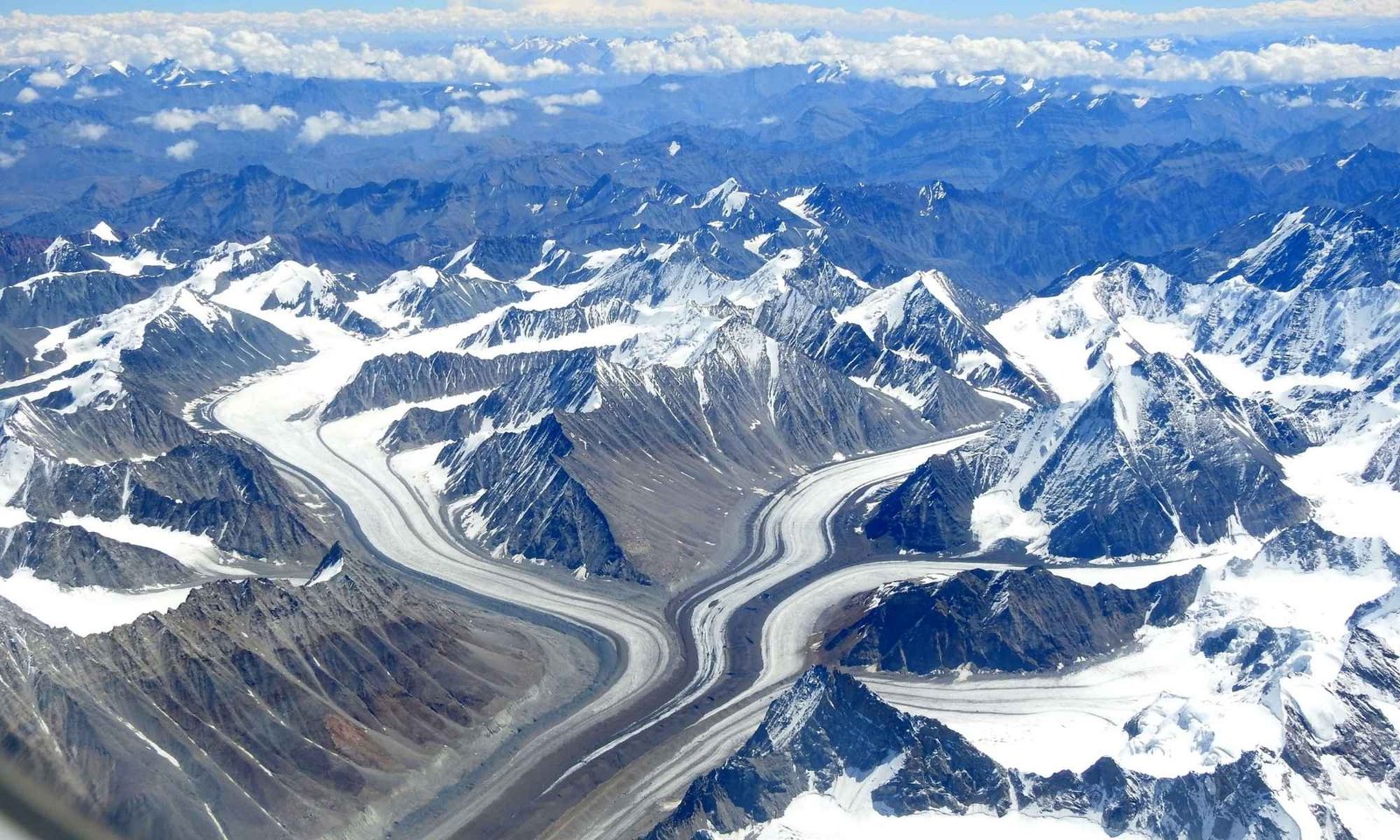 Ladakh Bird Watching Tour