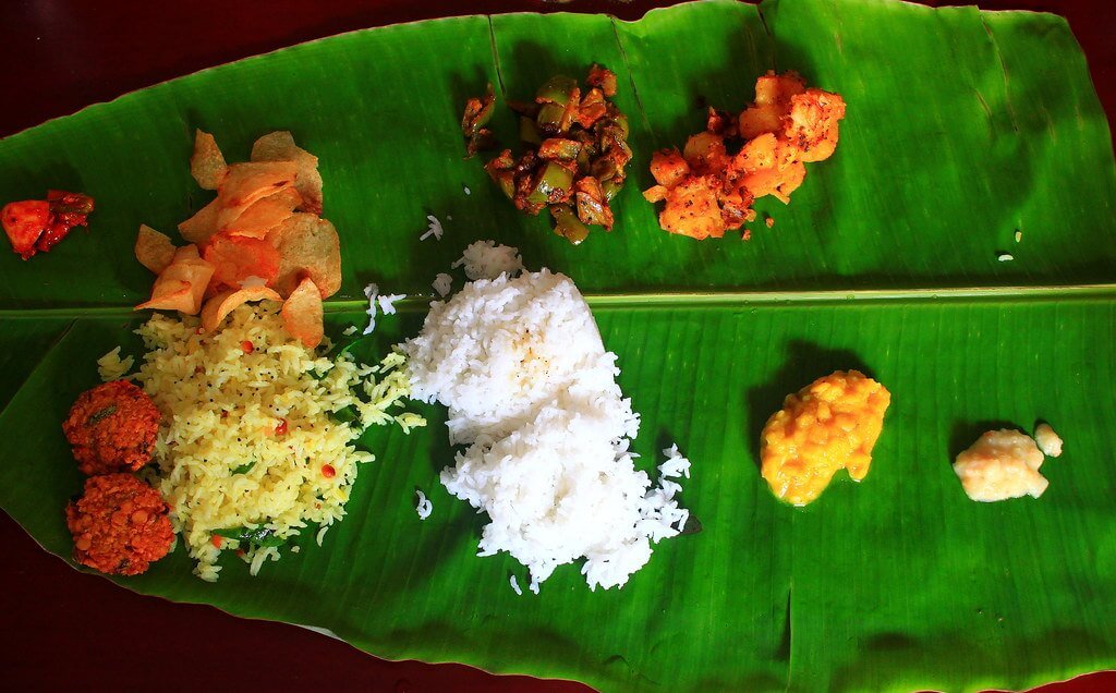 Western Ghats Bird Watching Tour