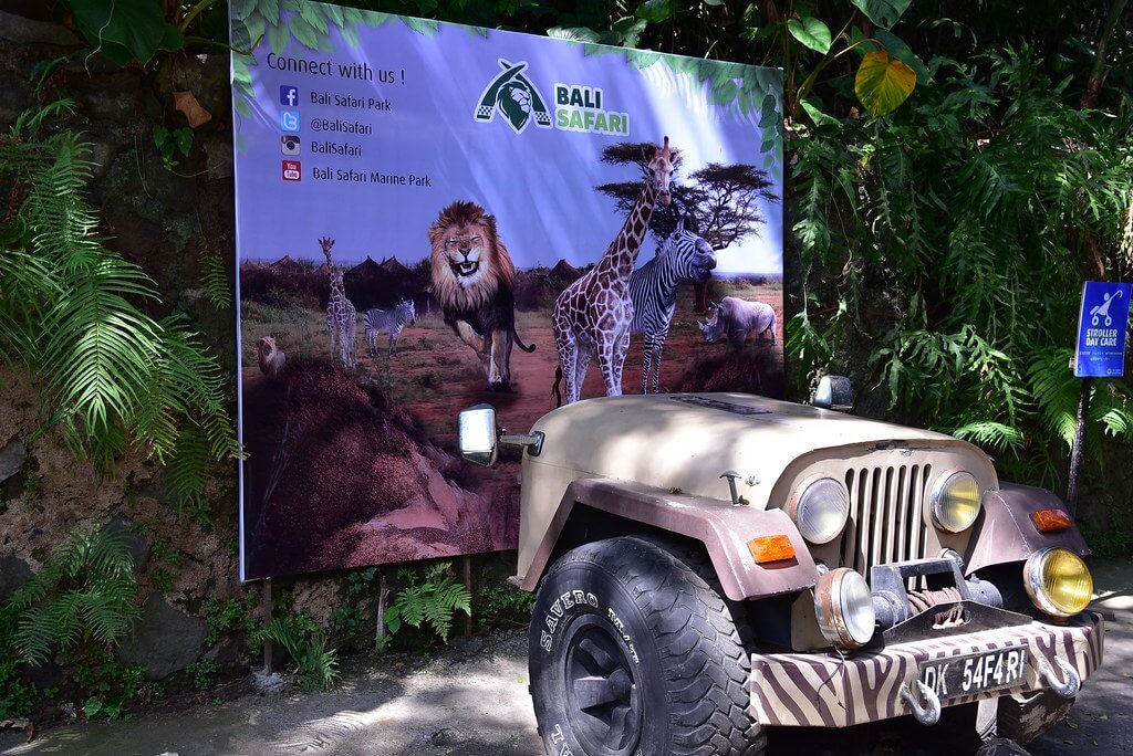 Big Cats of India Wildlife Tour