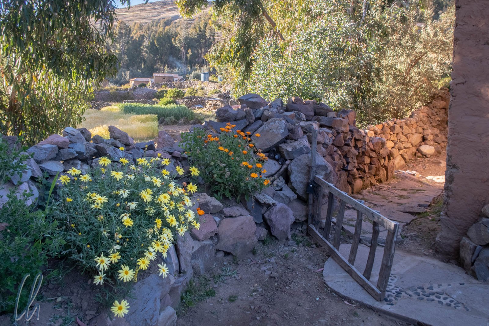 Big Cats of India Wildlife Tour