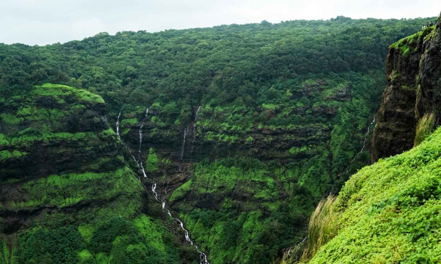 Himachal family tour