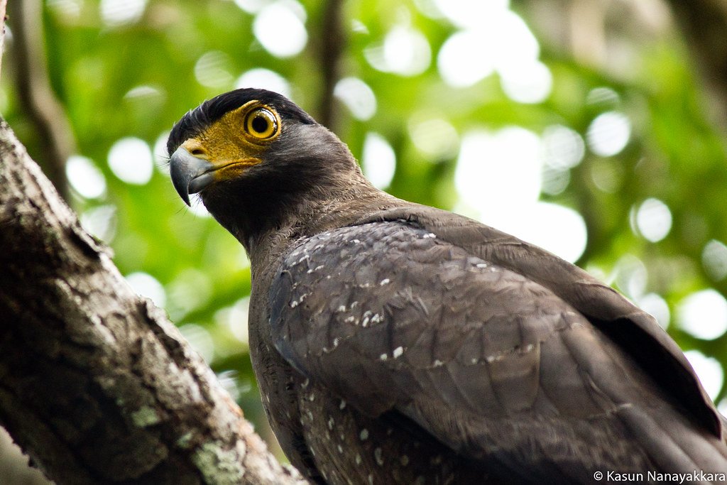 Uttarakhand family tour packages