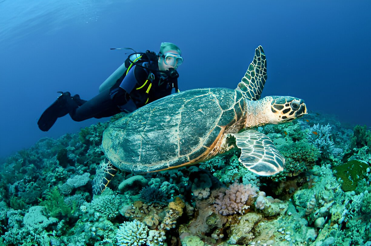 Andaman tour packages from Pune