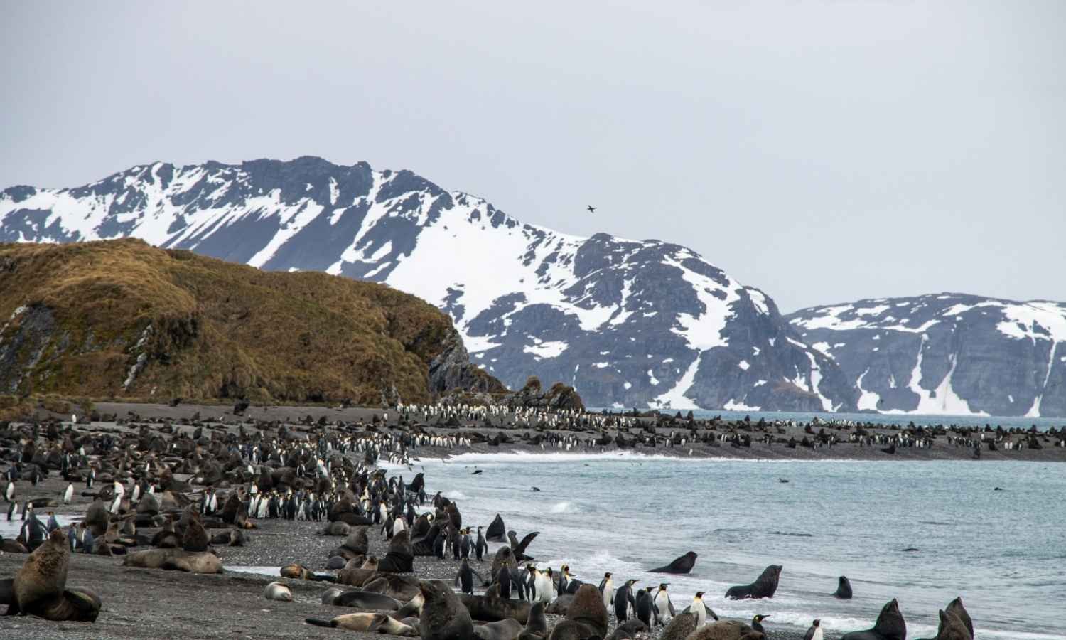 Andaman packages from Bangalore