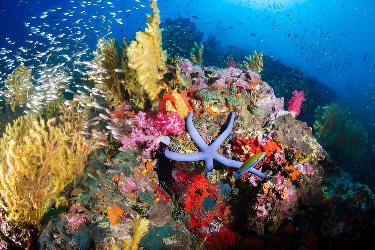 Andaman tour package from Kolkata