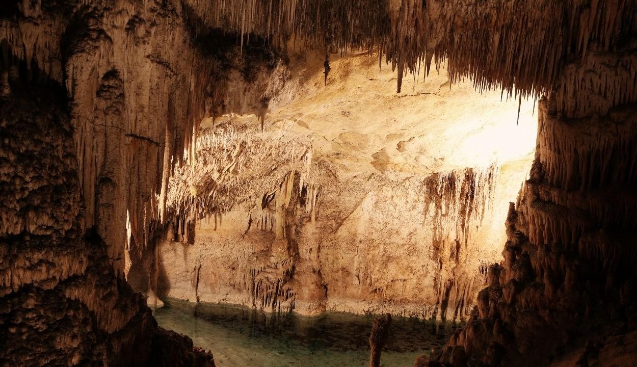 Assam tour package from Kolkata