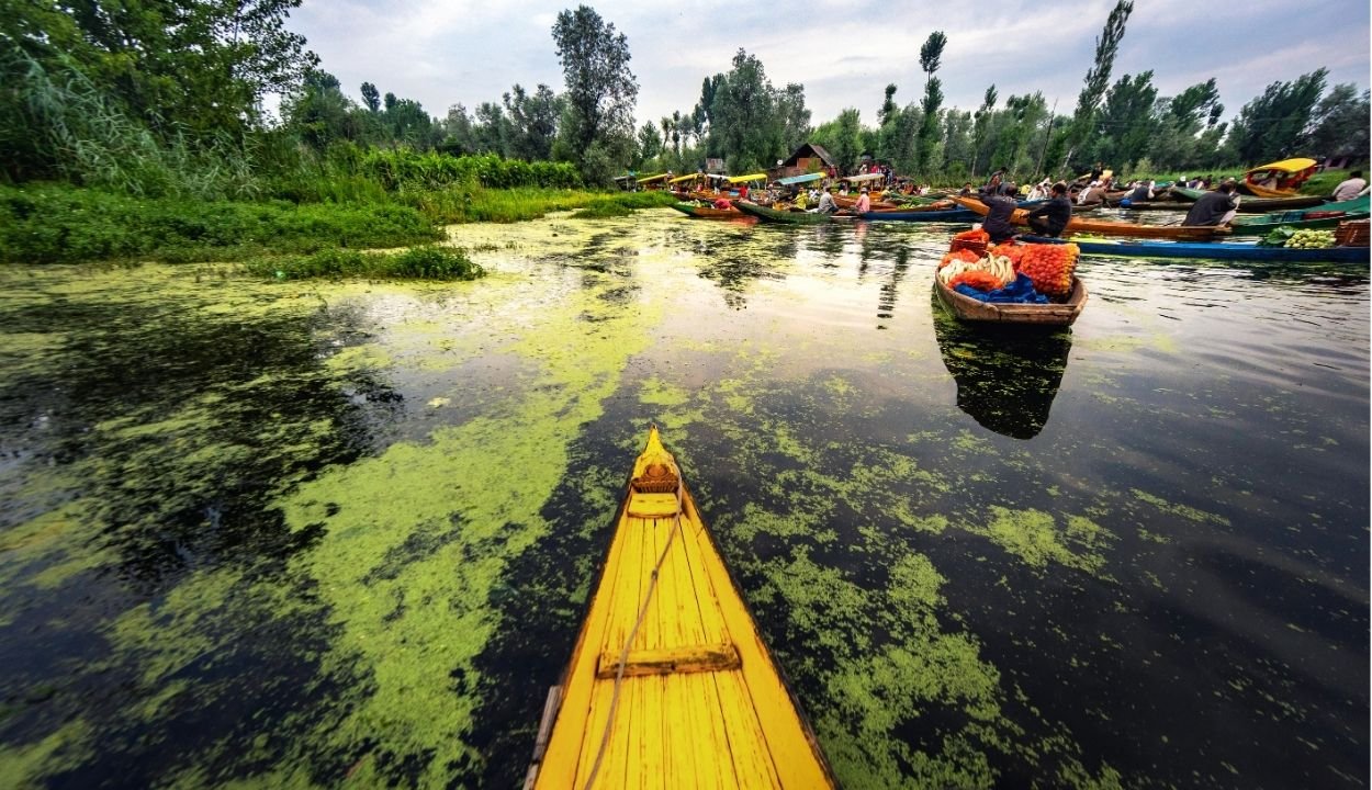 Kashmir tour packages from Bangalore