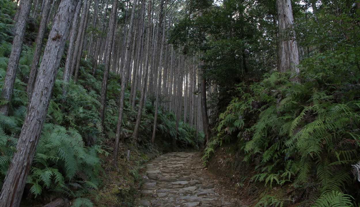 Himachal Spiritual Circuit