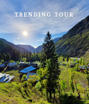 Trending Tour