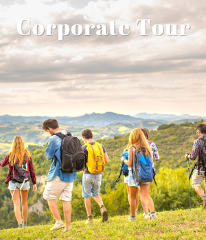 Corporate Tour