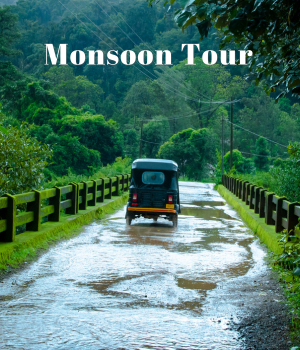 Monsoon Tour