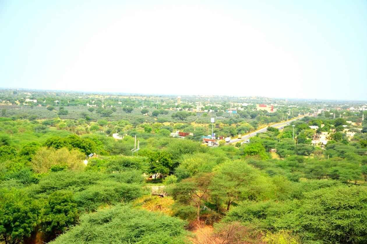 6N 7D Exotic Rajasthan Desert Tour Package