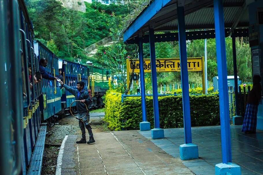 South India Bird Watching Tour