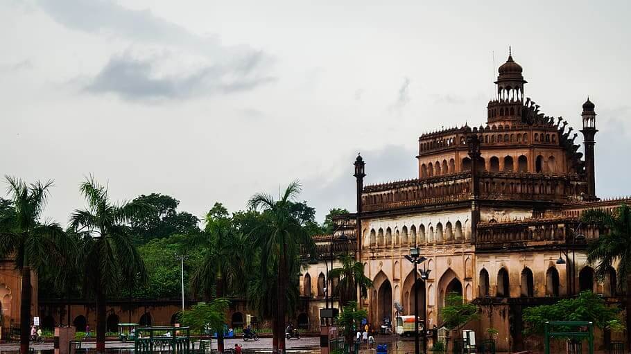 Dudhwa Wildlife Tour with Lucknow