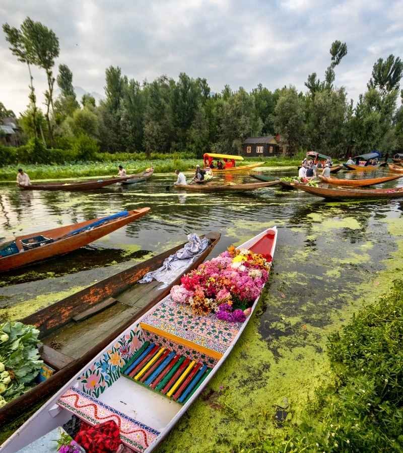 Kashmir tour packages from Bangalore