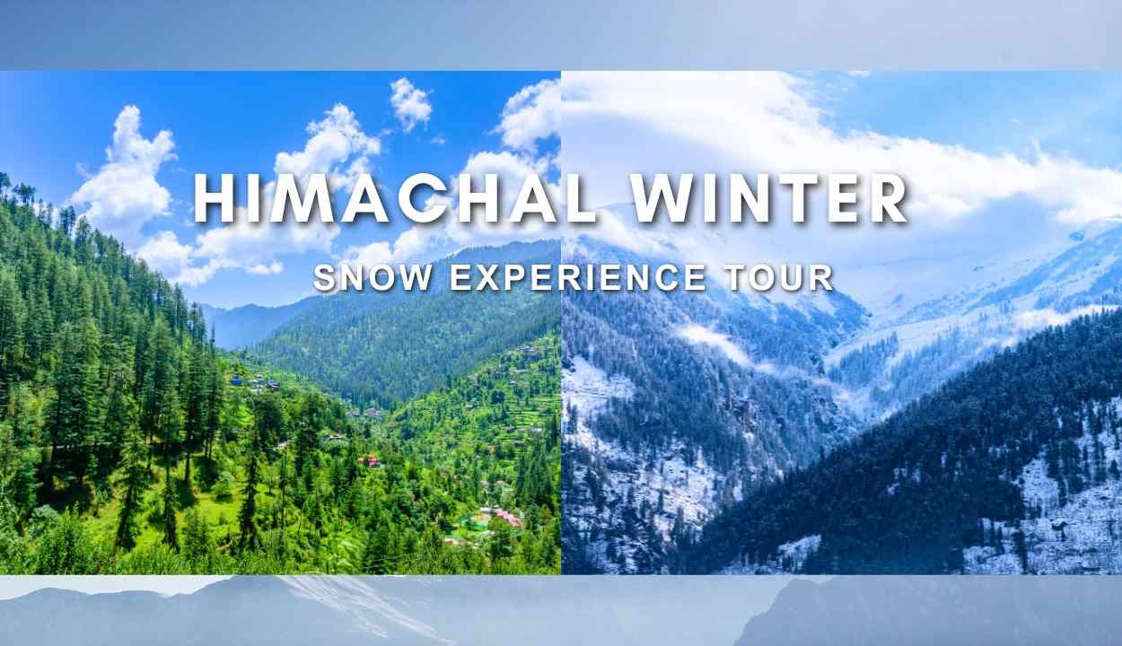 Himachal Winter Snow Experience Tour